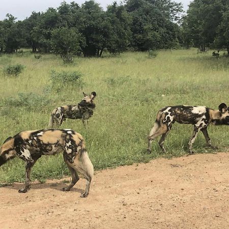 Marula Lodge Mfuwe 外观 照片
