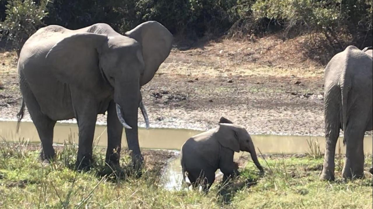 Marula Lodge Mfuwe 外观 照片