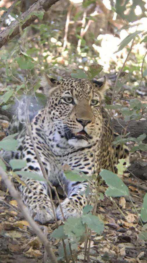Marula Lodge Mfuwe 外观 照片